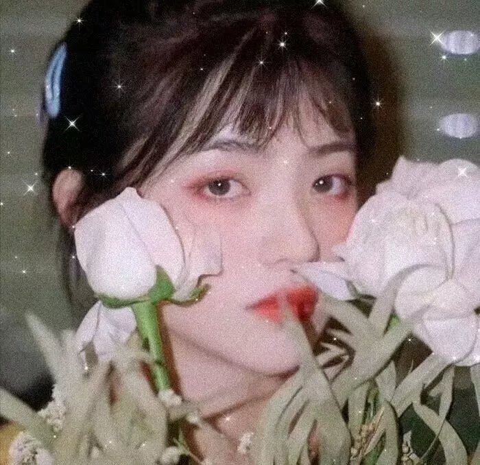 集中营里的摄影师